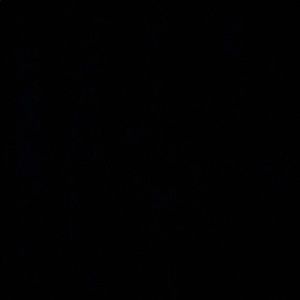 Meet your Posher, Chloe